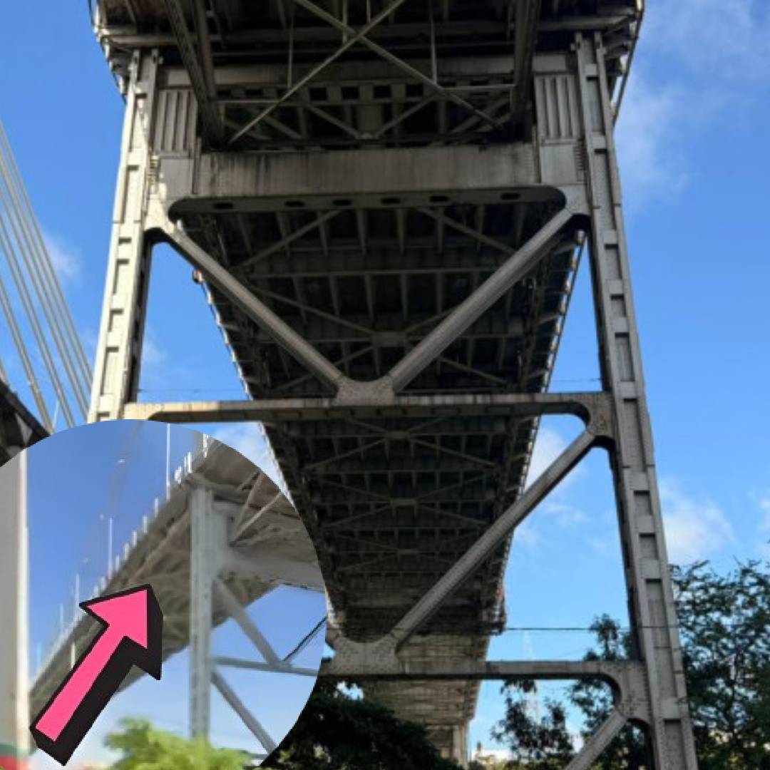 Joven provoca tensión tras subir a estructura del puente Duarte frente a agentes del DICRIM